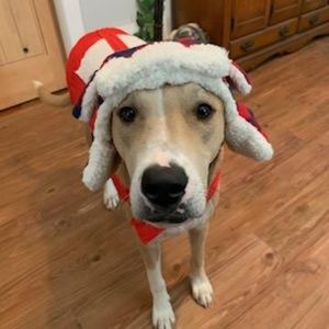 Meet your Posher, Josh